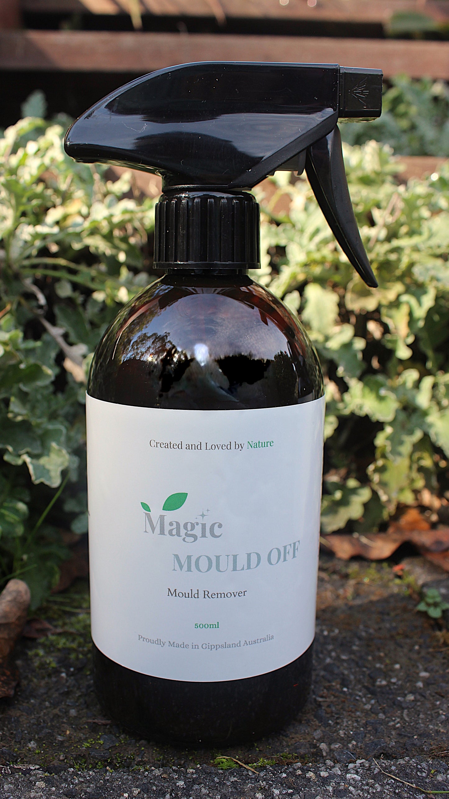 Magic MOULD OFF